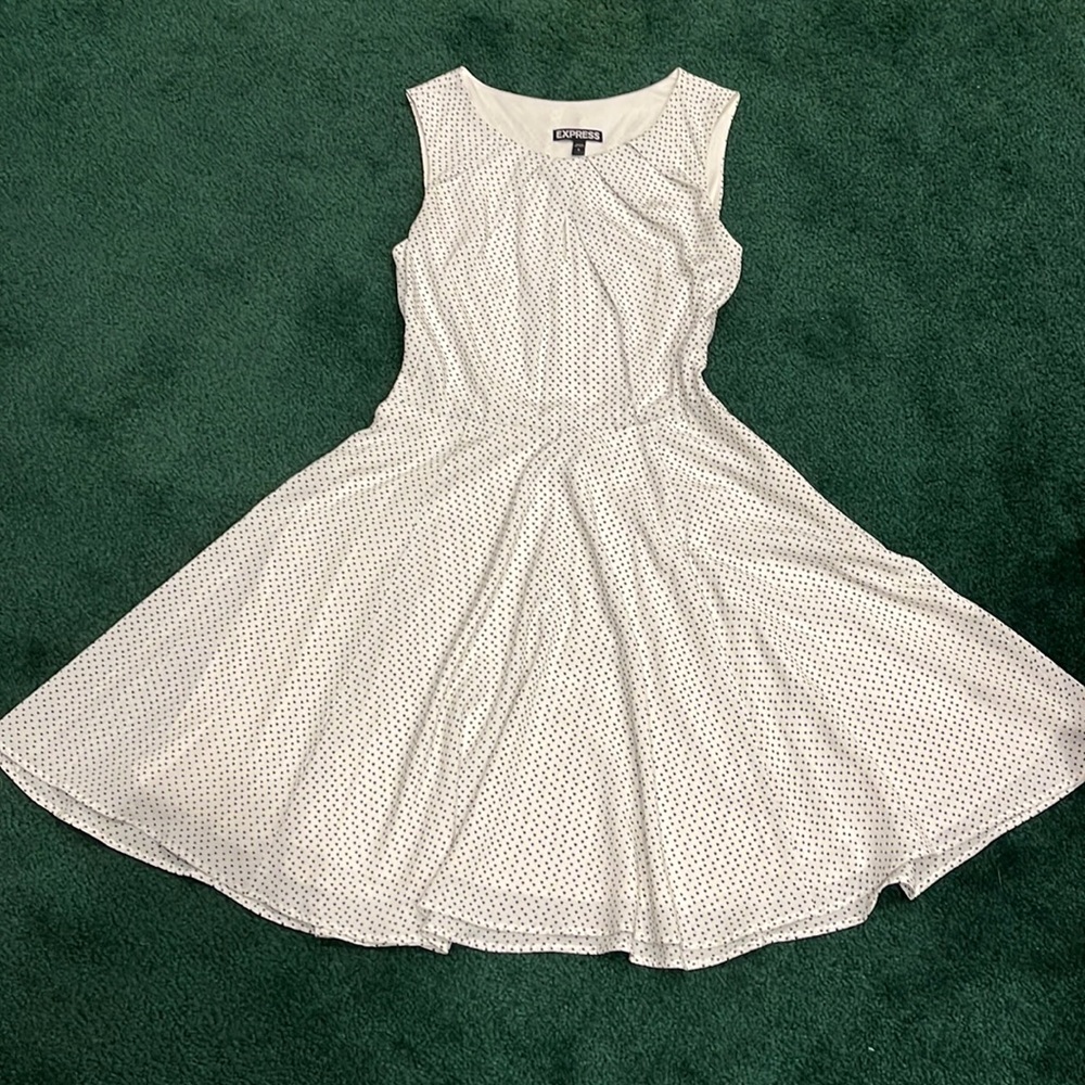 Express skater dress size 0
